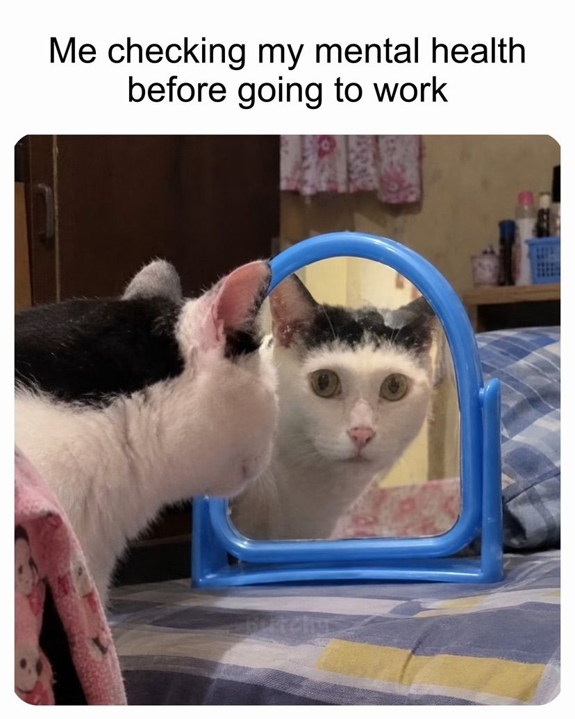 hihi