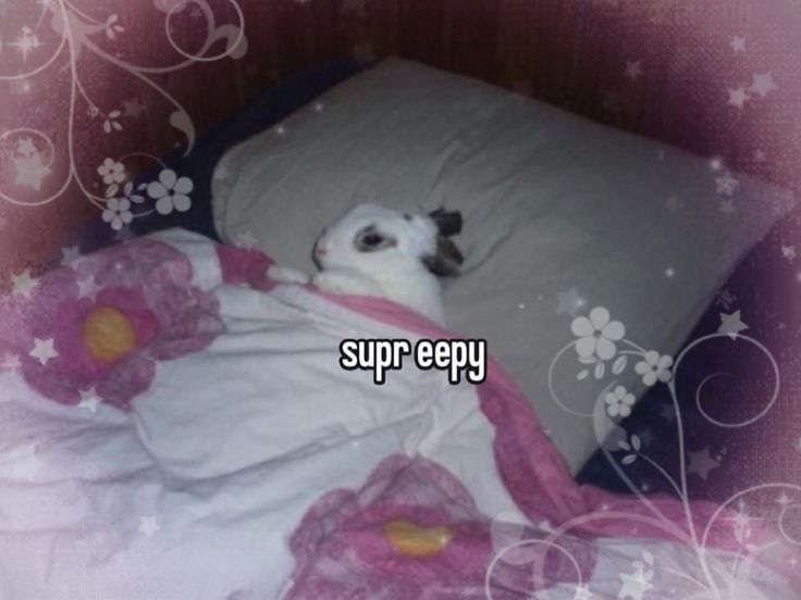 time to EEPY