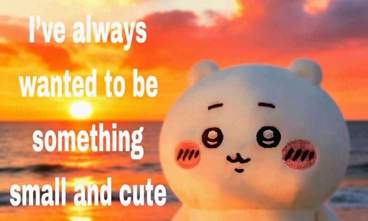 mood rn
