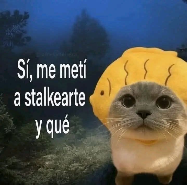 waos!