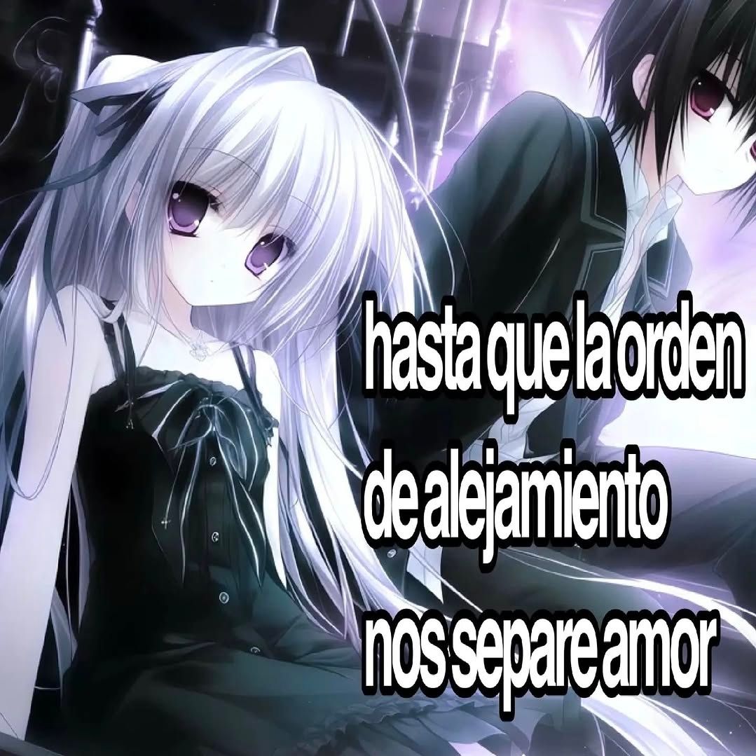 xd