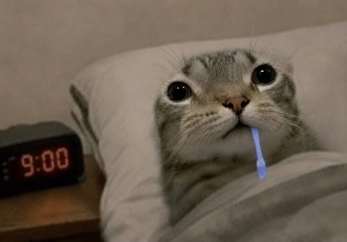 ˚ᆺ˚