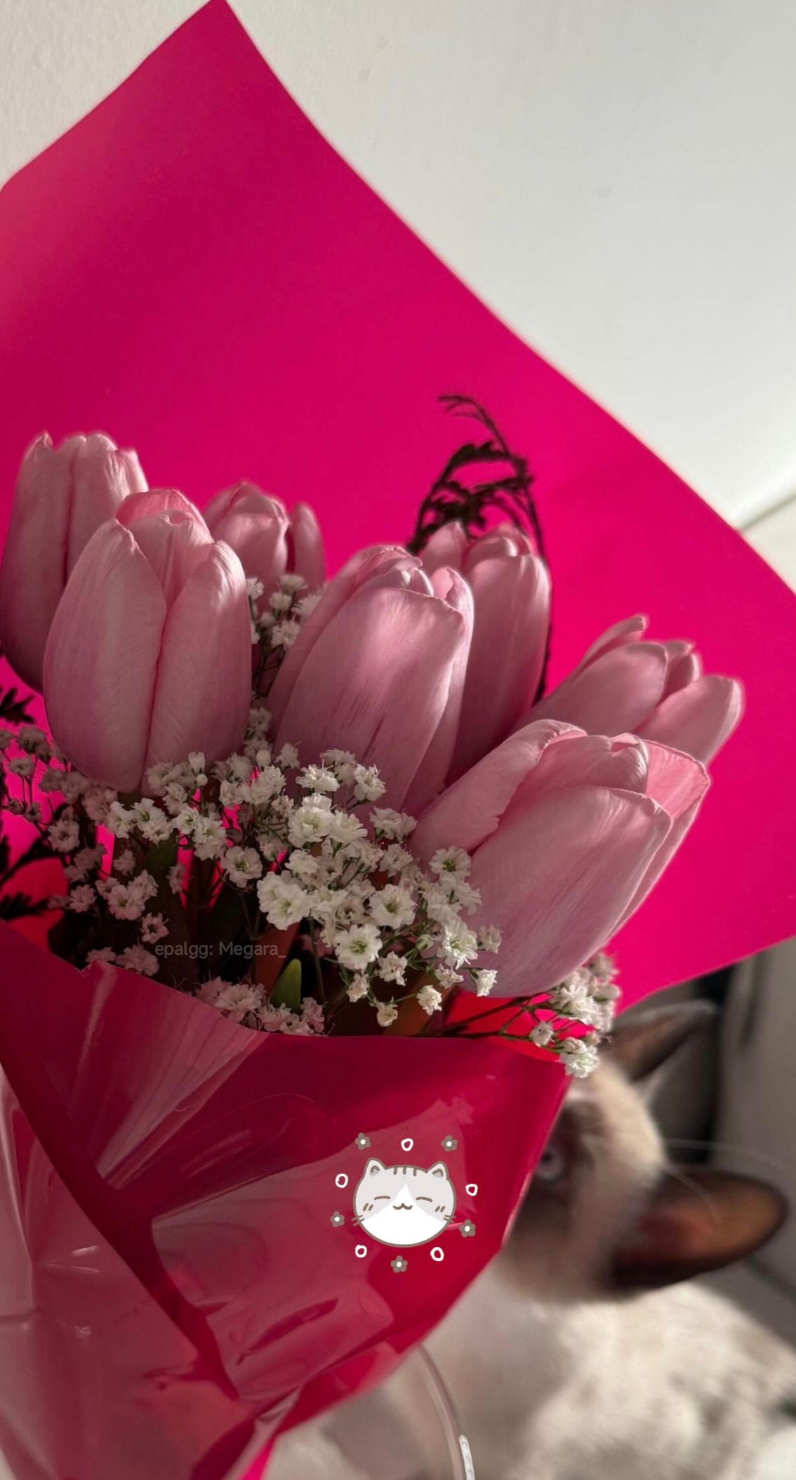 🌷