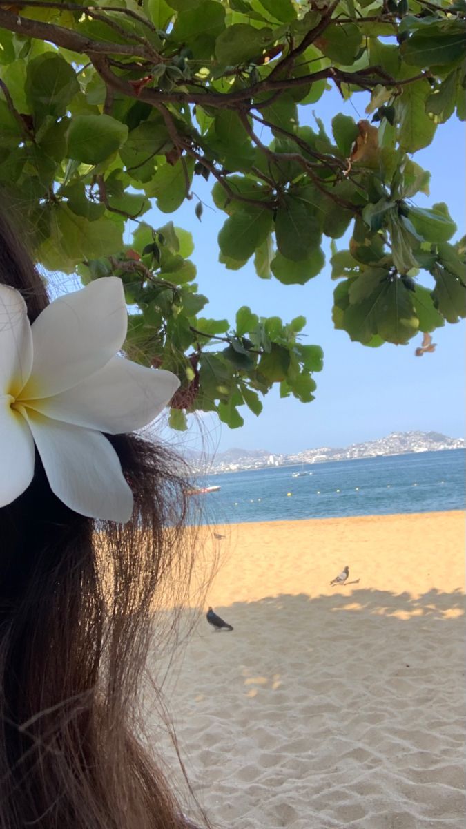 Verano🌸