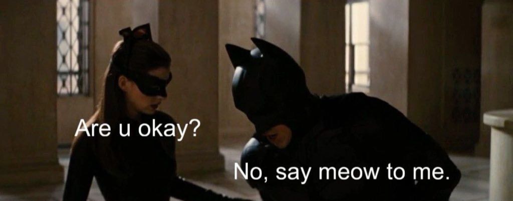 say meow 🐈‍⬛
