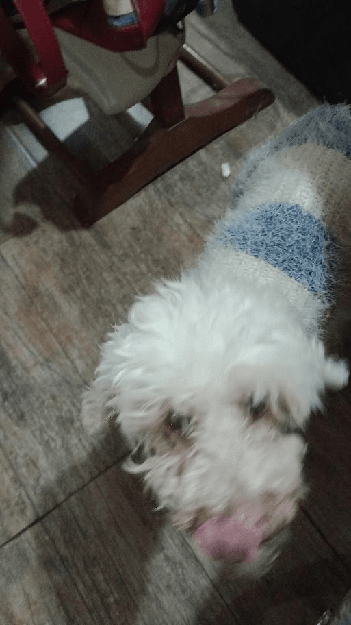 hii