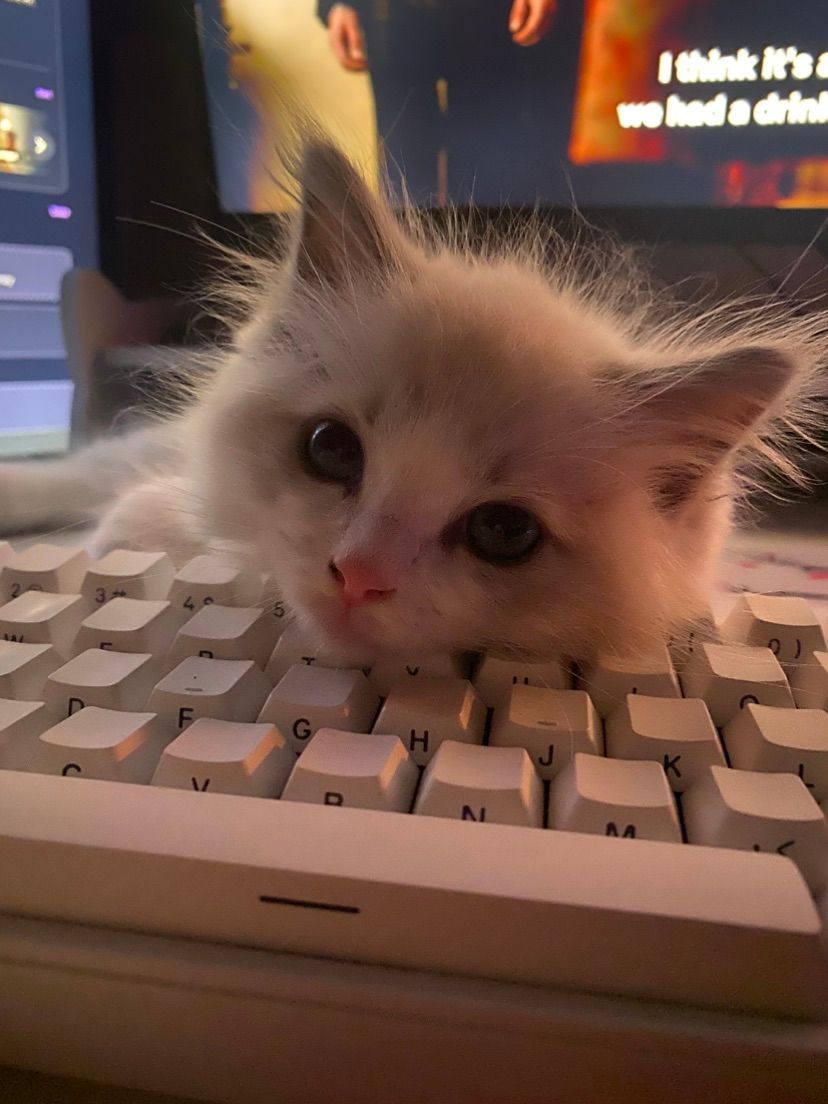 ghost says hi