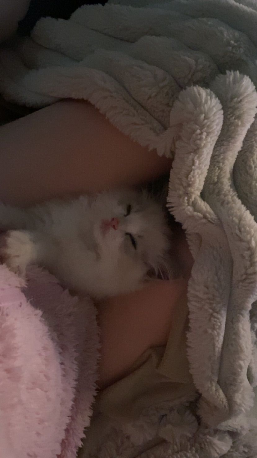someoneee fell asleep during hear me out event…