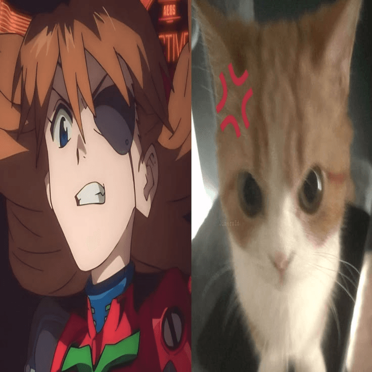 ≽^- ˕ -^≼ aAARGH i can't win...