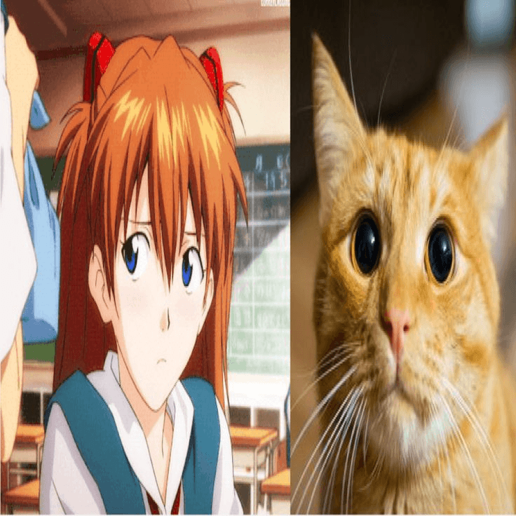 (˵◝ ⩊  ◜˵マ good meowning