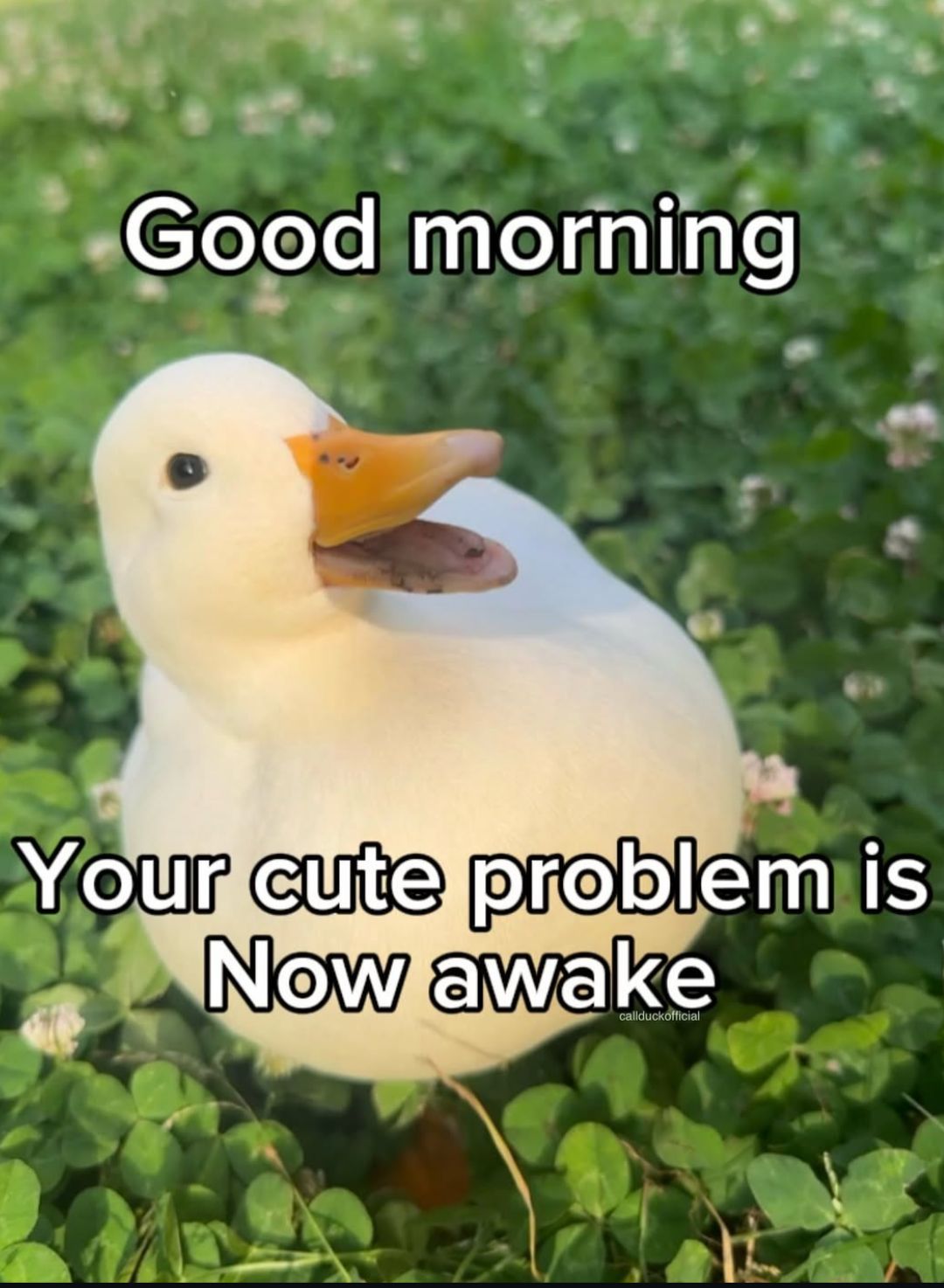 Good morninggg