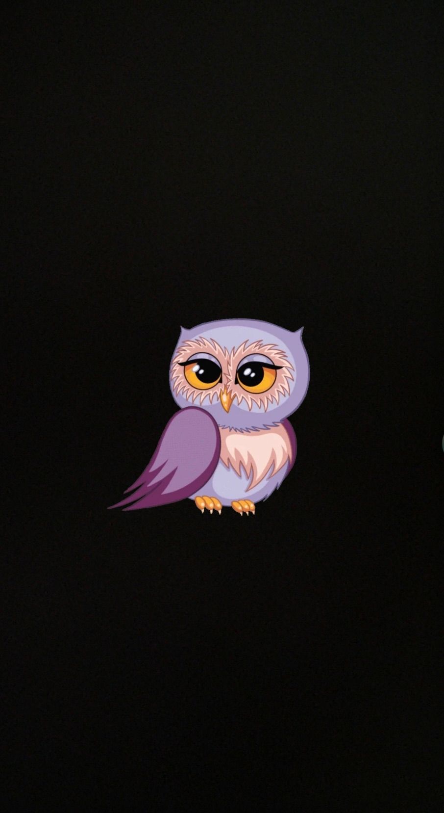 🦉
