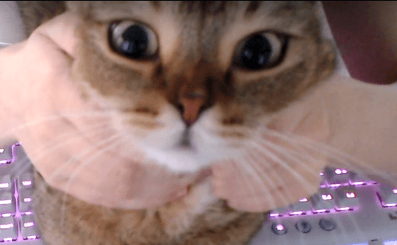 grr