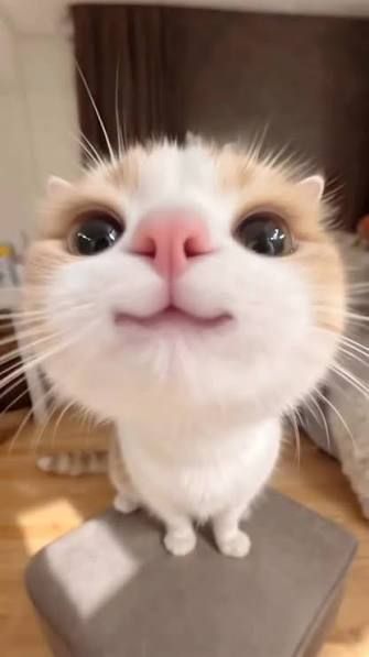 Me...