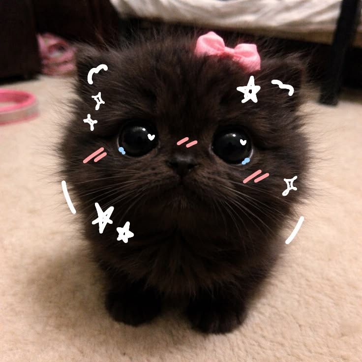 hiii