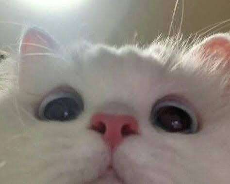 :3
