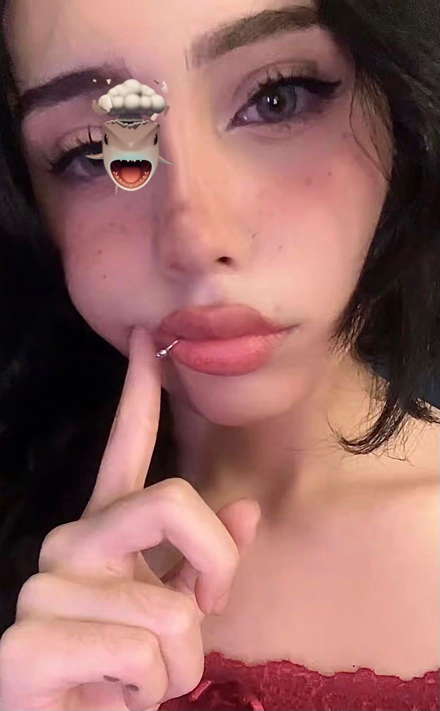 hi 🐌