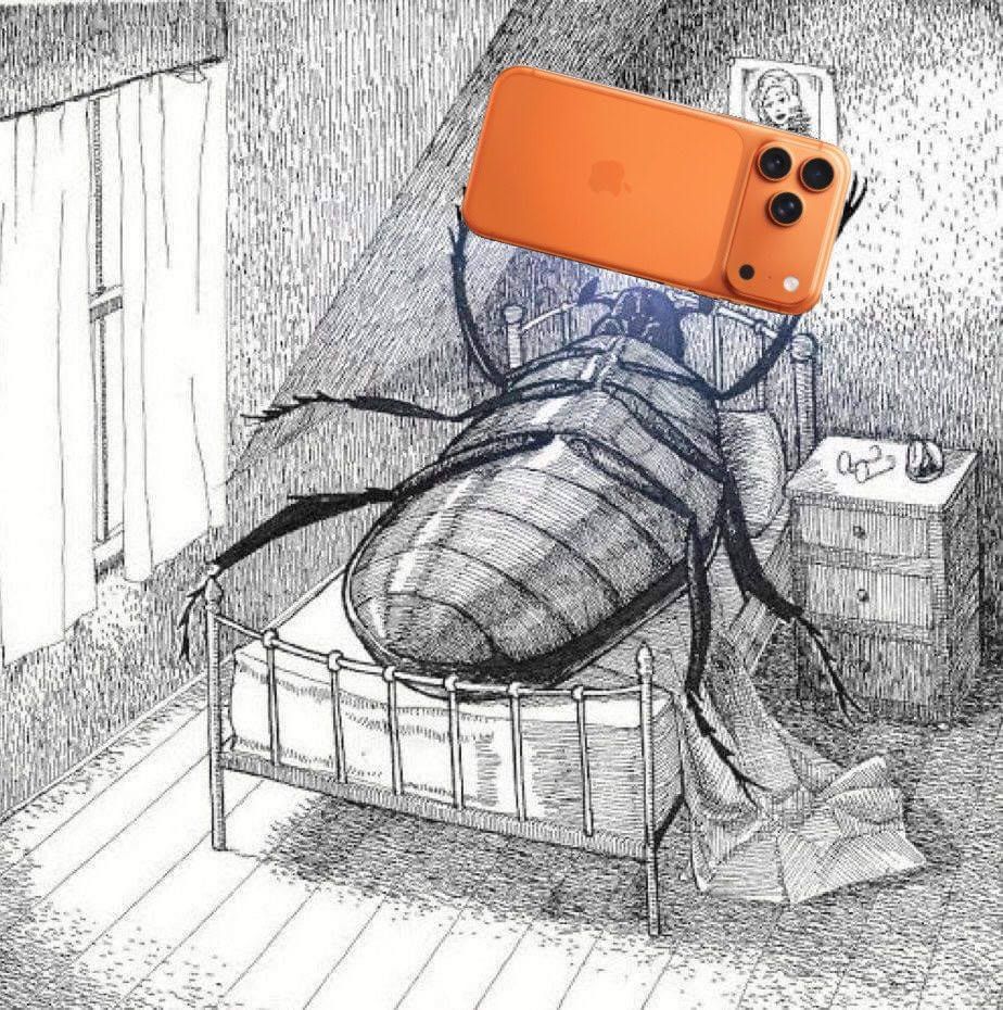 ñ