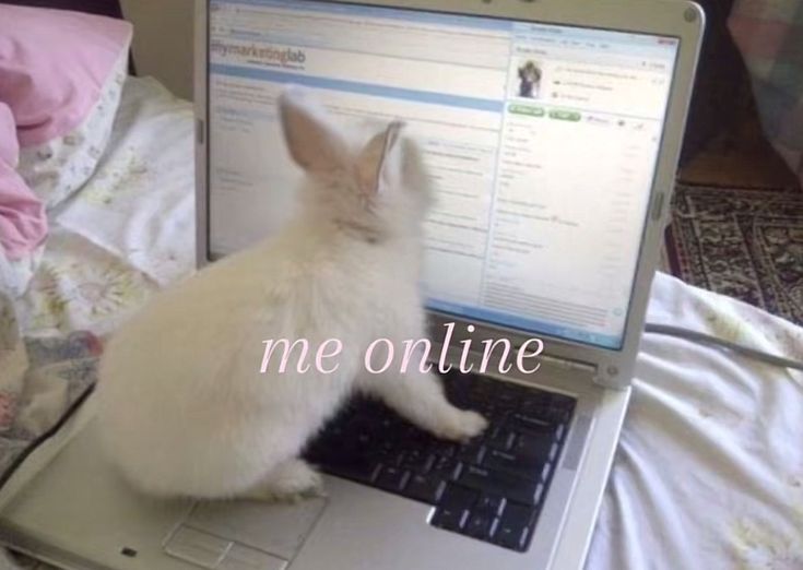 ୭ Games/E-chat/ Movies ୭🍮