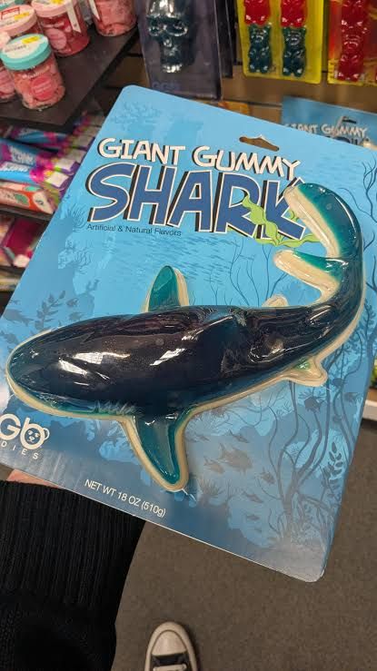 🦈🫐💙