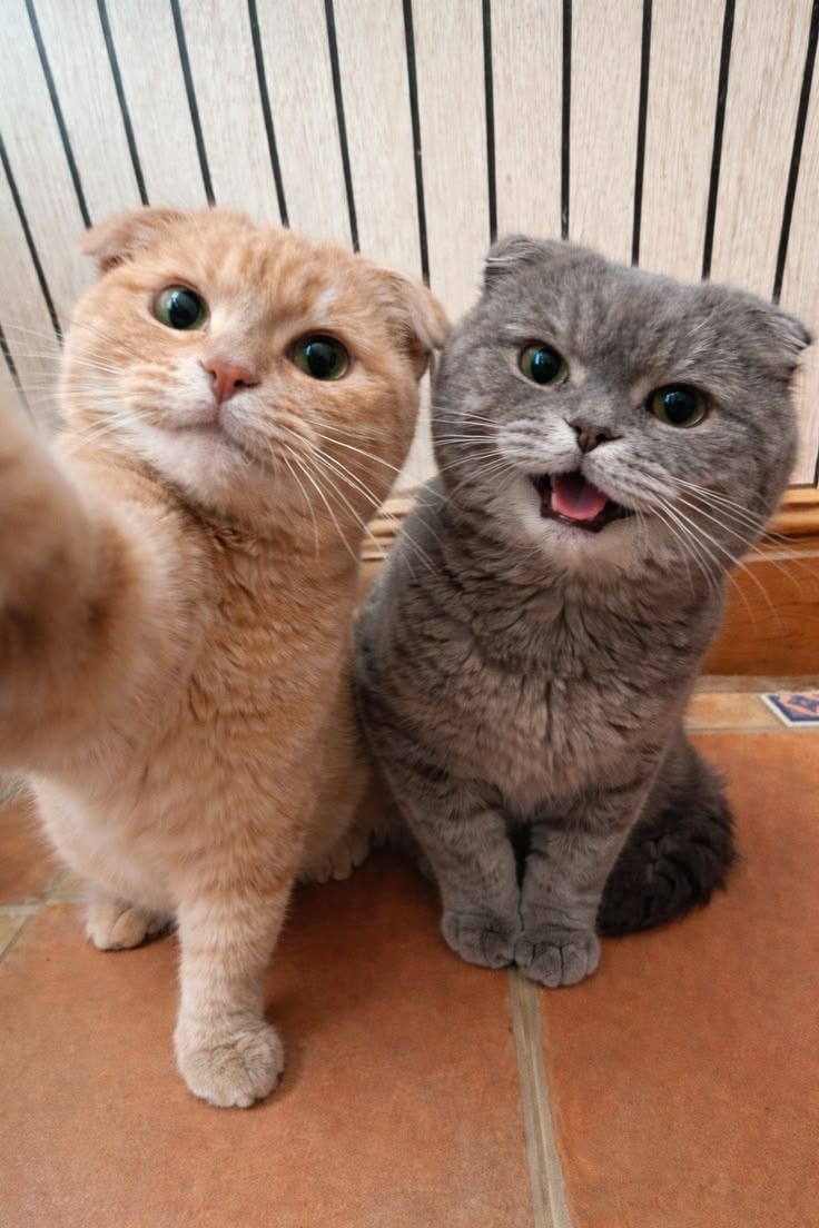 <3