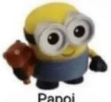 Papoi