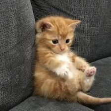 :3