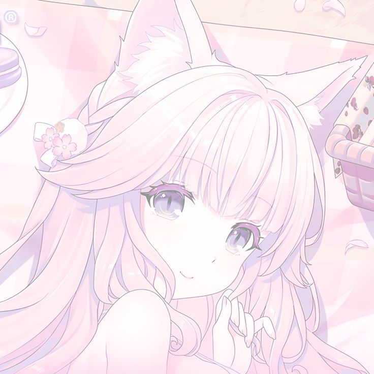 meow meow