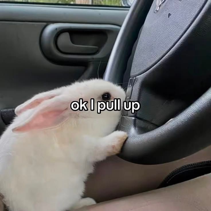 <3