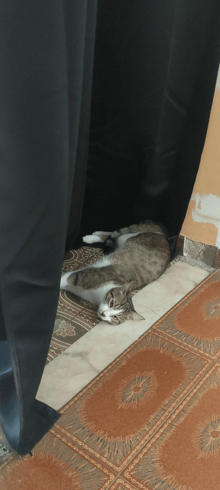 Oscar here