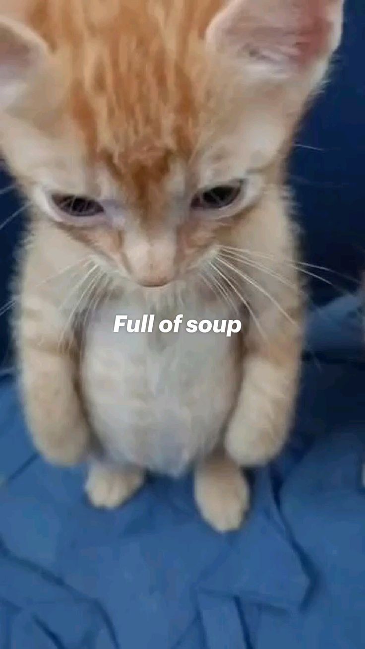 goo d oup