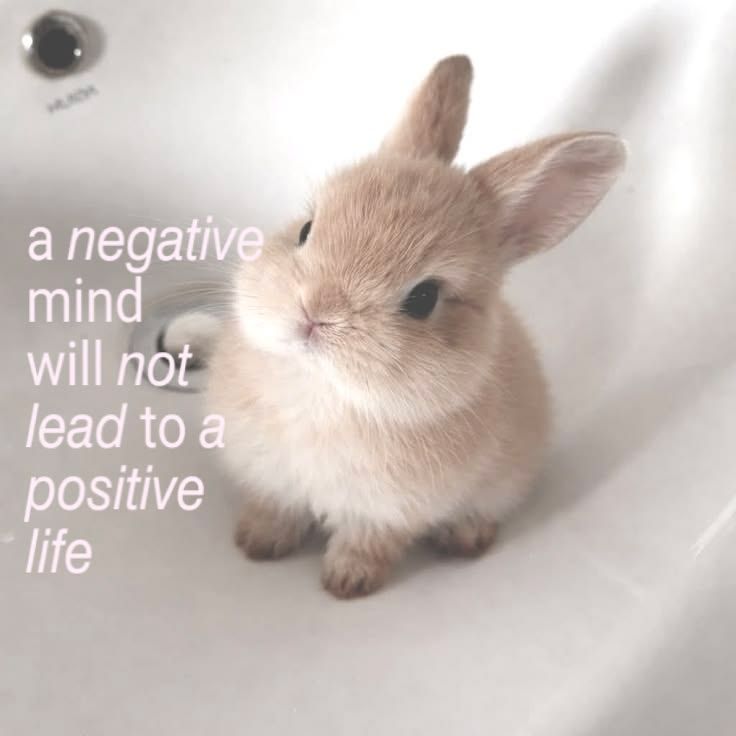 !-KIND PSA-!