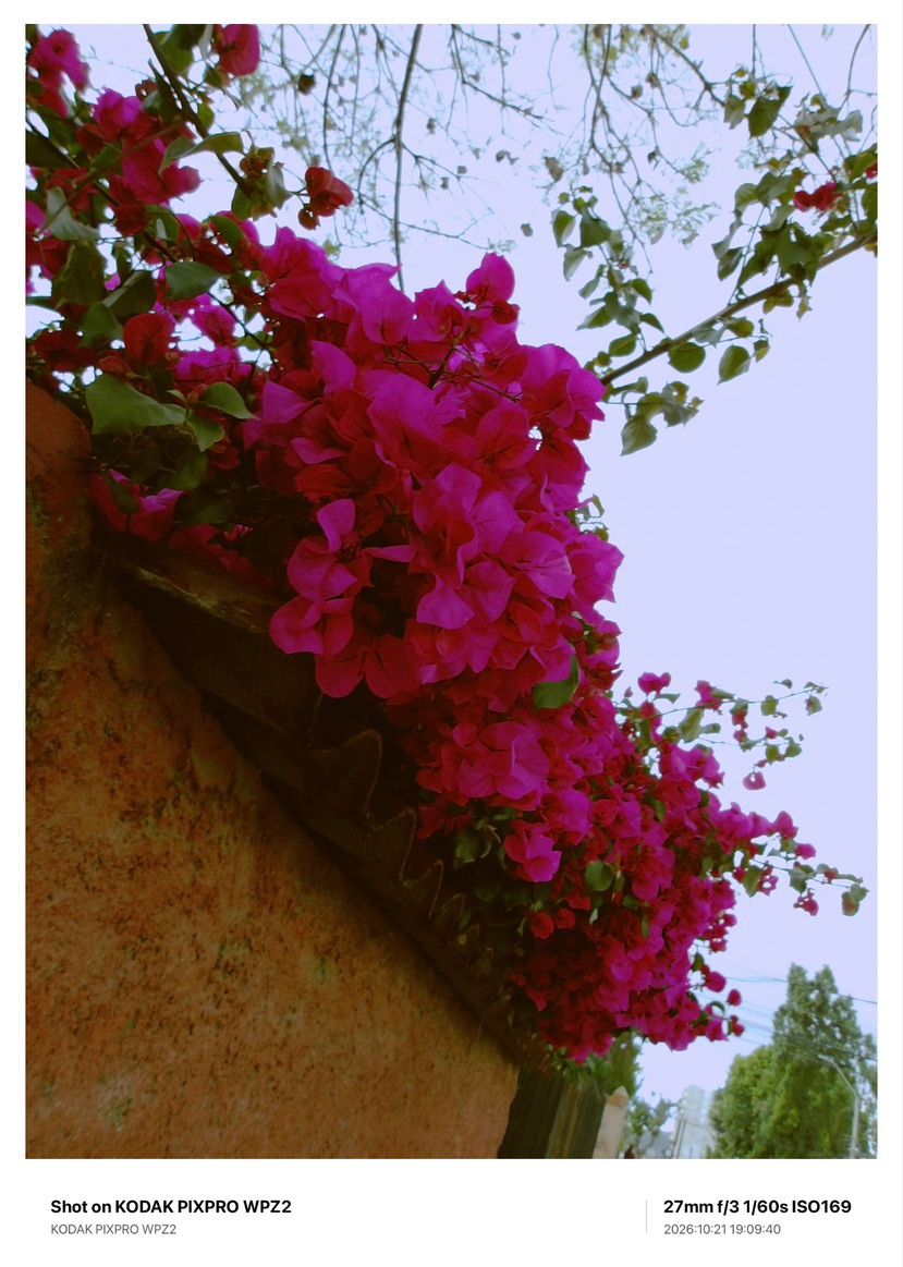 i love flowers