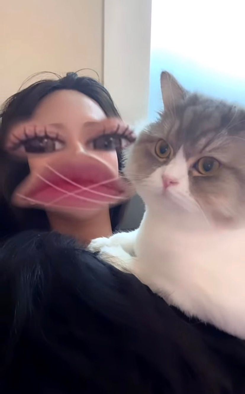😼😚