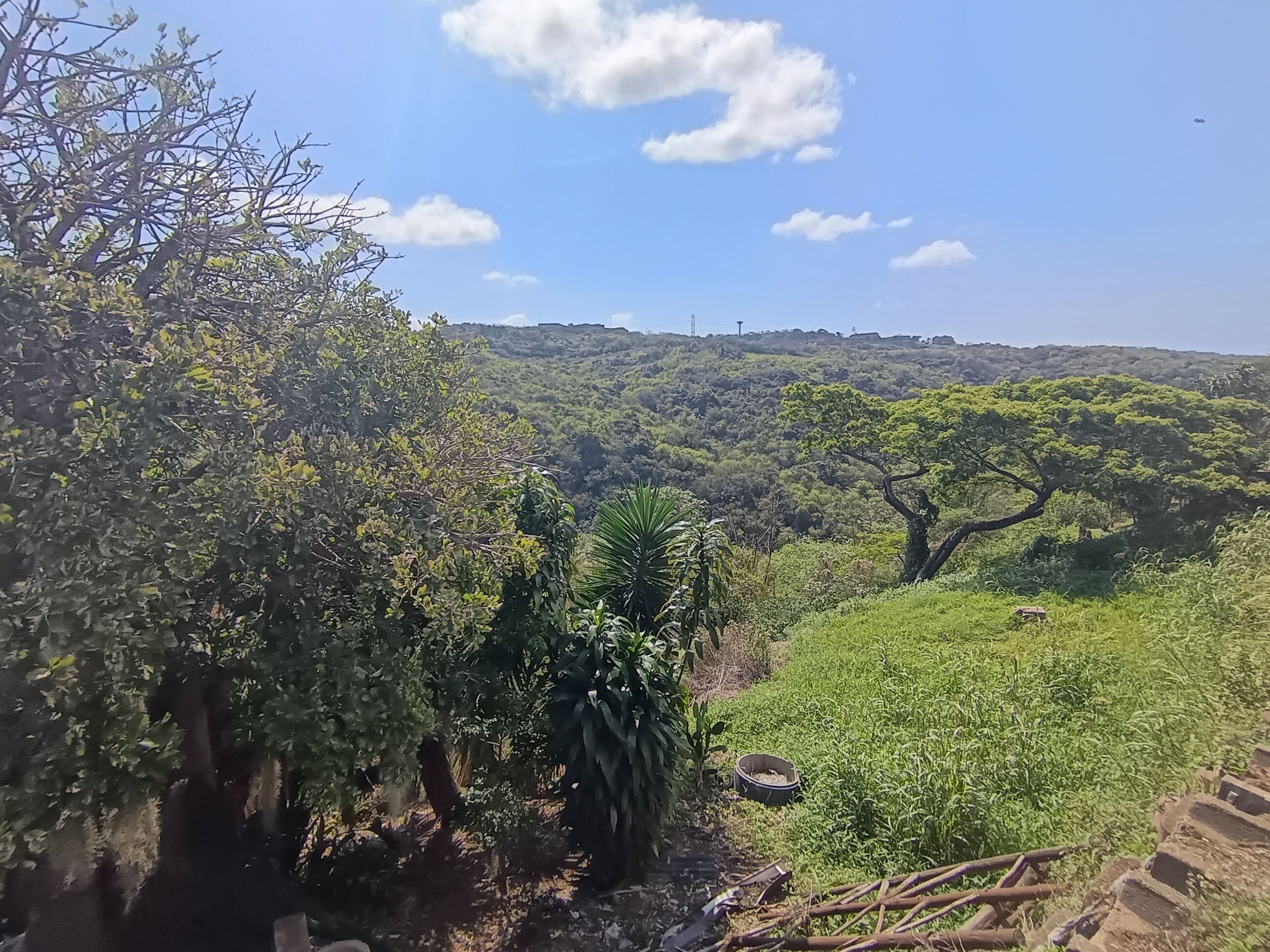 Nature Reserve View~