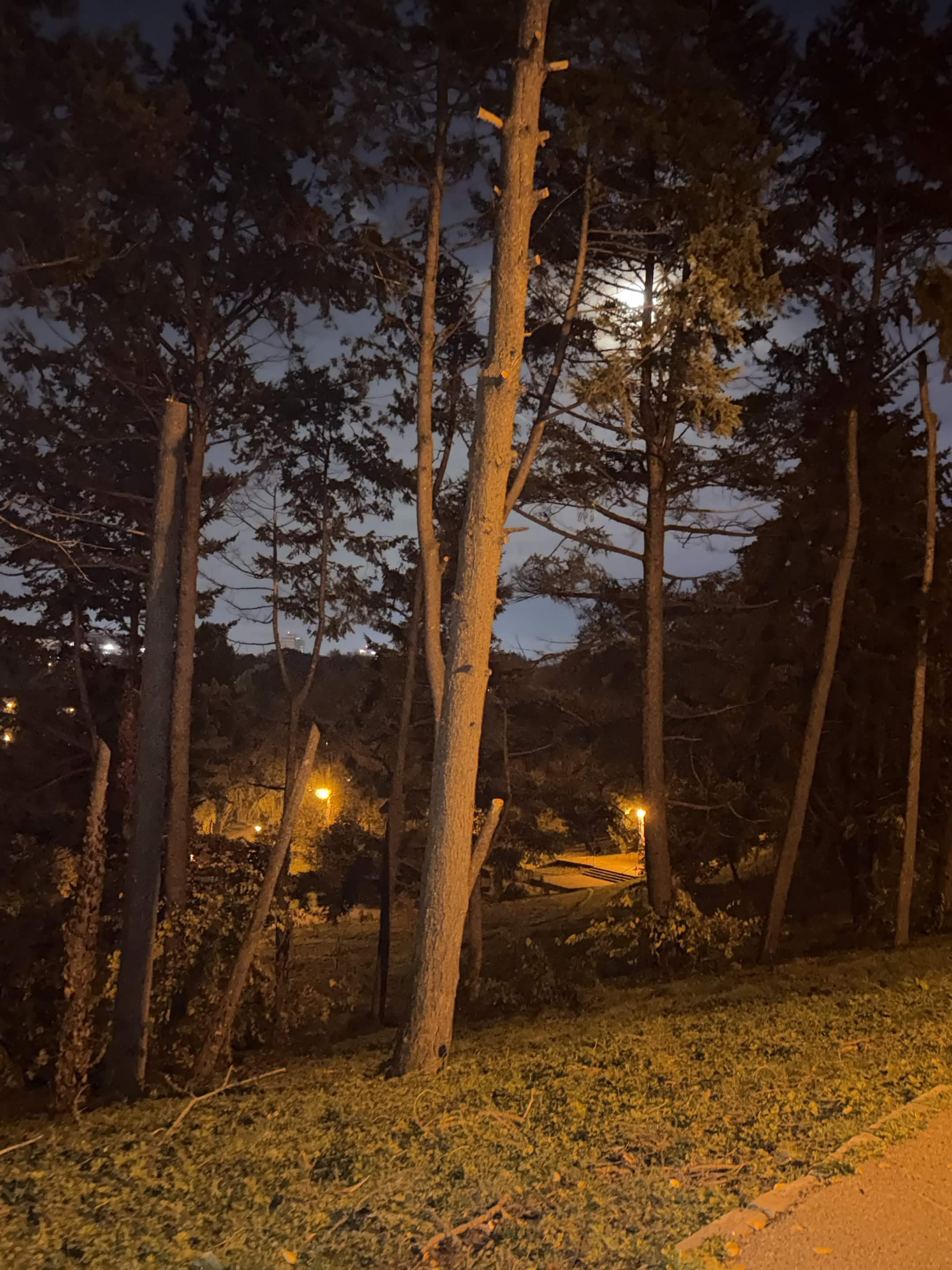 peek the moon