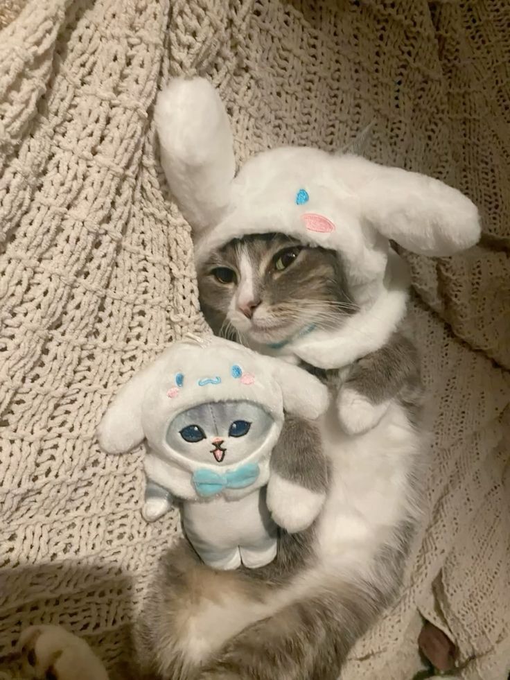 meow