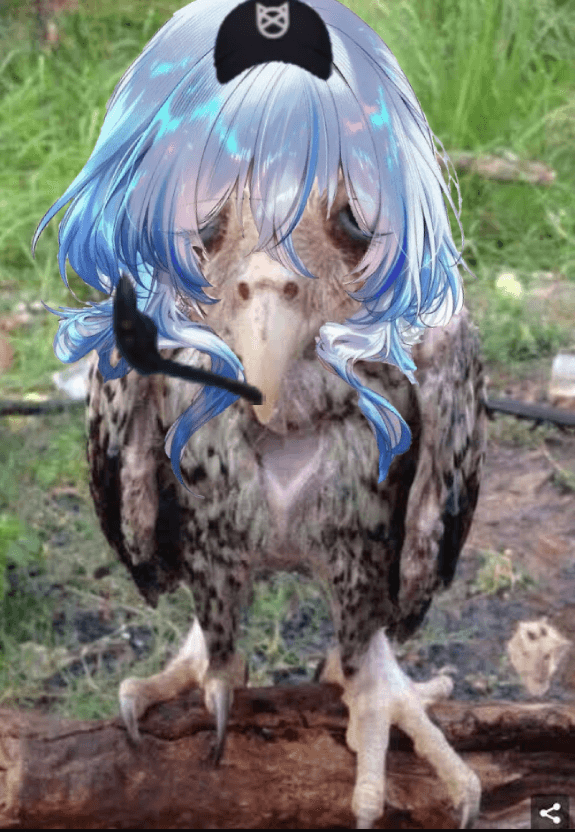 owl dump
