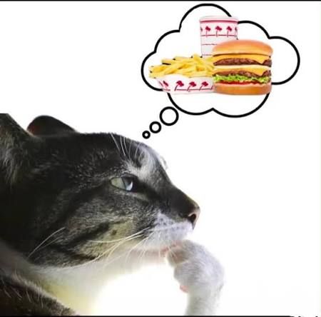 I want In-n-Out burger