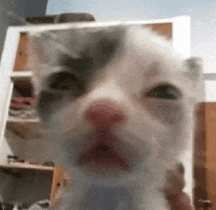 me when I make a bad play