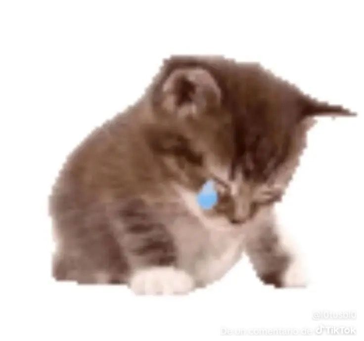 mouse is very sick