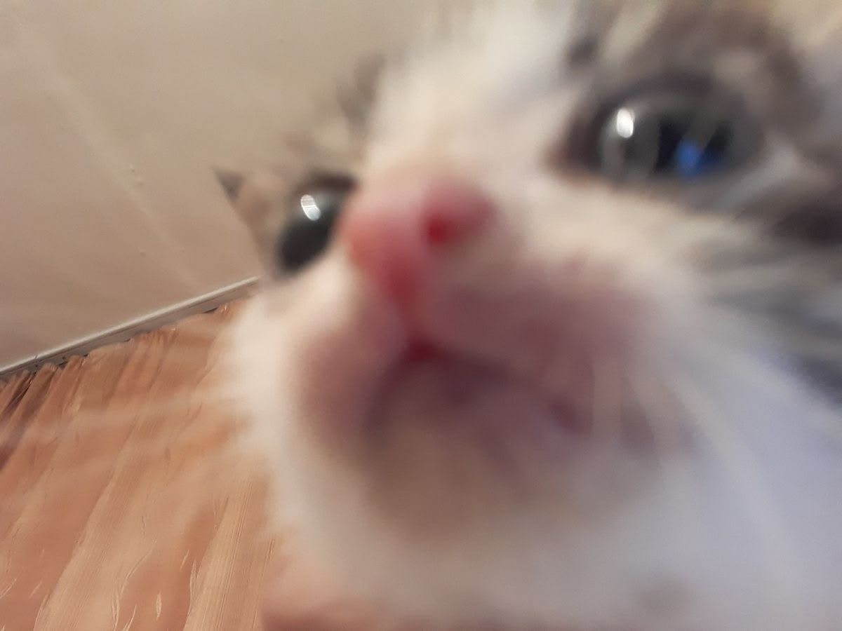 i was dead now im back i think