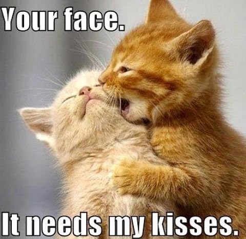 <3