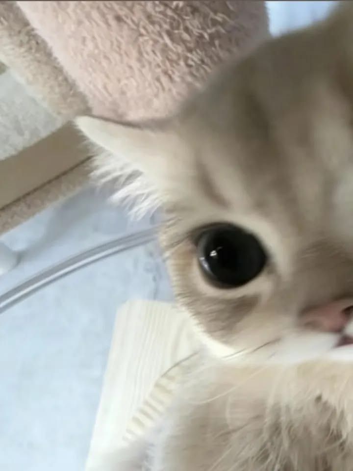 ☆☆☆