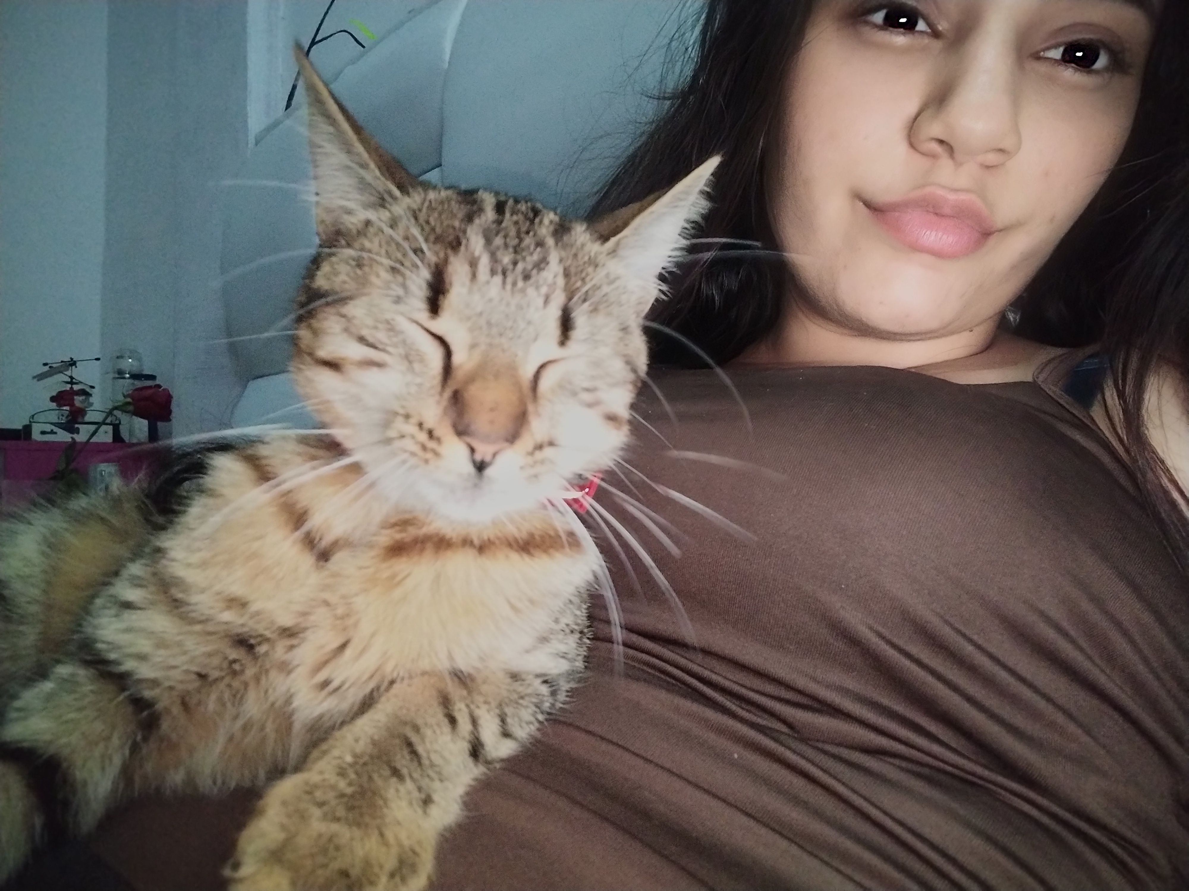 ✨ Hello, do you like my cat?
