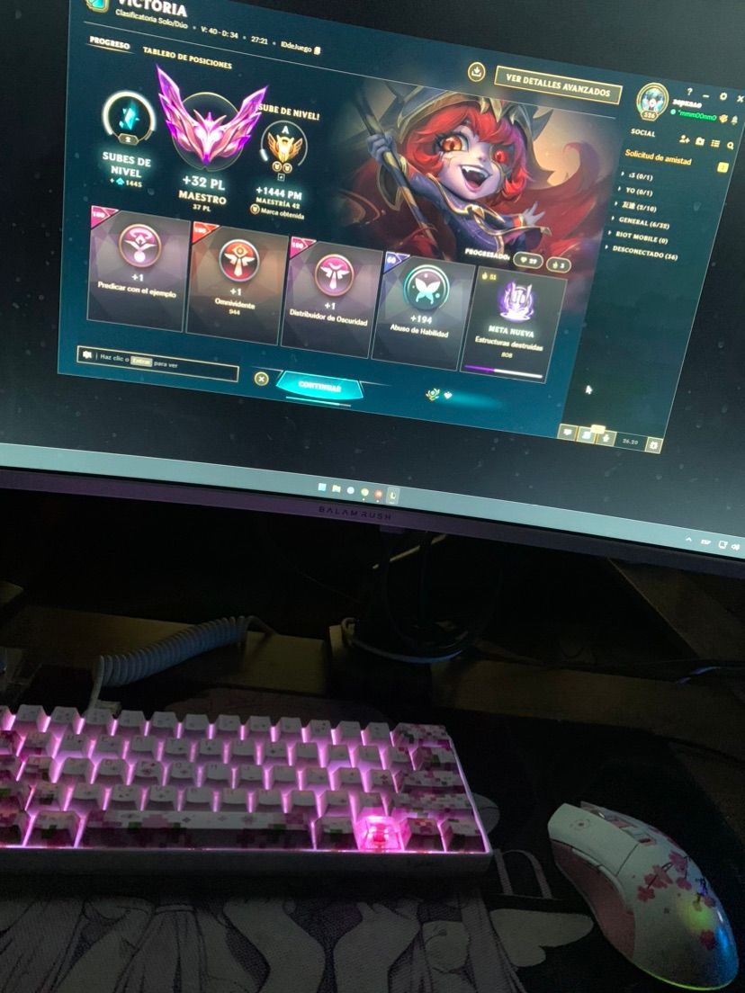 Lf someone who wants a cute support catgirl :3