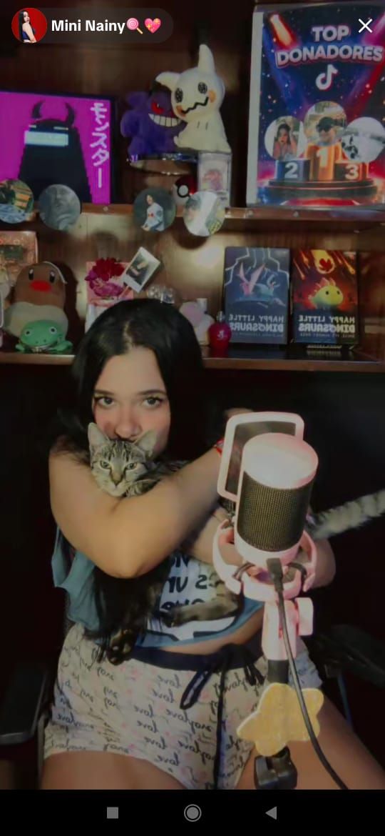 Hoy está cumpliendo 1 año mi gata Suki