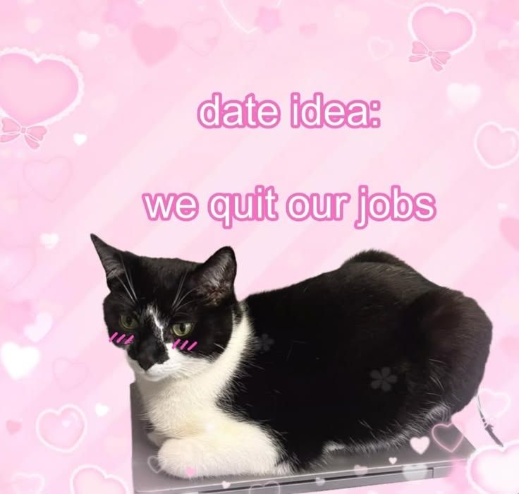 Quit