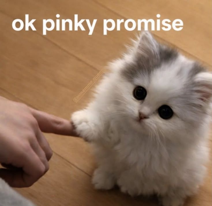 I promise