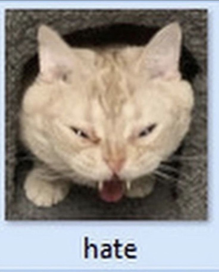 Me when